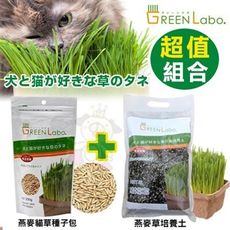 自己的貓草自己種《GreenLabo燕麥貓草種子包+培養土》組合賣場 一次備齊給貓主子