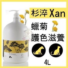 杉淬Xan 寵物洗毛精 蠟菊護色滋養4L 天然植萃 犬貓適用