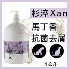 杉淬Xan 寵物洗毛精 馬丁香抗菌去屑洗毛精 4L 天然植萃 犬貓適用