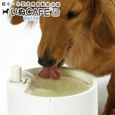 【5折活動】日本Doggy Man愛狗用CAFE自動飲水器 【犬用流水淨化飲水器】