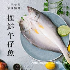 【巧食家】台灣午仔魚 201g-250g 三去、真空包裝 (免運)