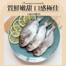 【巧食家】A級肉質魚 350g/4條/包 肉魚 真空包裝 (免運)