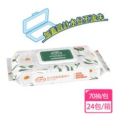 安安 安親 加大抑菌柔護濕巾-加蓋一般型 20x25cmx70抽