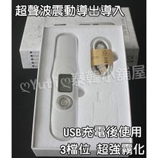 日韓熱銷 ISMOOTH 二代 超聲波離子 美膚儀 粉刺機 導入儀 鏟皮機 美容儀 去黑頭 （泰韓記