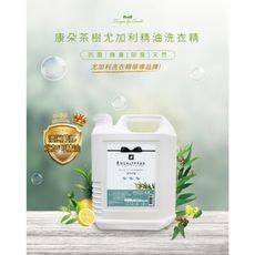 康朵 茶樹尤加利精油洗衣精 4000g【特價】§異國精品§