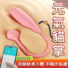 元氣貓掌長尾蛋