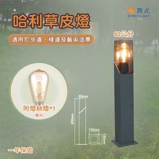 【永光】舞光★ LED  哈利草皮燈 60cm   適用於步道、藝術造景