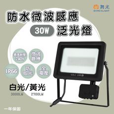 【永光】舞光 LED 智慧防水微波感應燈 30W 黃/白光 戶外照明 高演色 全電壓 (copy)