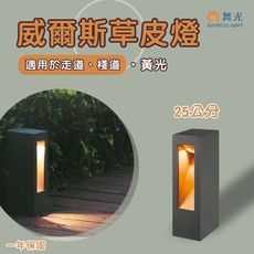 【永光】舞光★ LED 威爾斯走道燈 25cm  8W 適用走道、棧道等