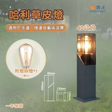 【永光】舞光★ LED  哈利草皮燈 40cm   適用於步道、藝術造景