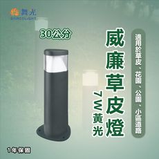 【永光】舞光★ LED 威廉 草皮燈 30cm 適用於草皮、花圃 流線外型 簡約