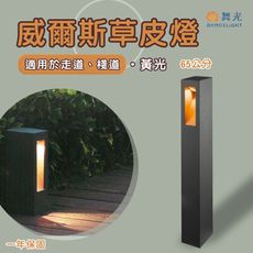 【永光】舞光★ LED 威爾斯走道燈 65cm  8W 適用走道、棧道等