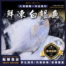 【巧莊園】鮮嫩急凍野生白鯧魚/白鯧魚/肉多刺少(150~180g/尾)