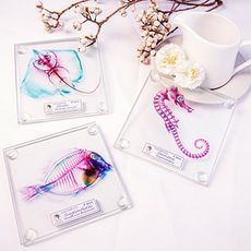 賽先生科學工廠│解析透明魚玻璃杯墊(三款) 一套2片