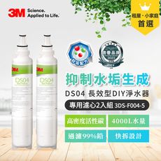 3M DS04 長效型DIY淨水器替換濾心兩入  7100317562