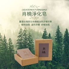 快速出貨+贈品 愛草學 LHS 肖楠淨化皂