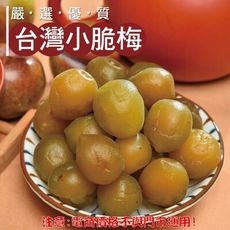 429【威記 肉乾 肉鬆 專賣店】 台灣小脆梅 600g+-10