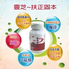 極品靈芝10倍濃縮 500mg/60粒/瓶靈芝多醣體含量高 國家生技大獎/ 台灣商品優良特金獎等