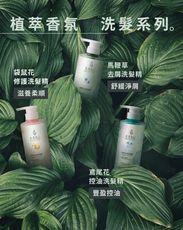 【大倉美記】洗髮精 500ml/瓶 (馬鞭草去屑/袋鼠花修護/鳶尾花控油-款示任選)