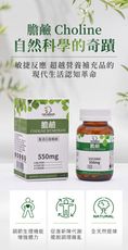 【MERGEN默根】重酒石酸膽鹼550mg 30天份_高效吸收、素食、孕婦、老年人、上班族、學生首選