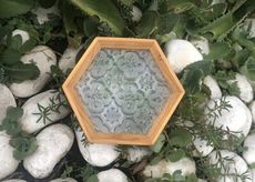 海棠花系列檜木杯墊