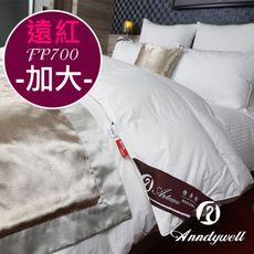 【雅帝格】買被送枕 專利遠紅外線90/10頂級冬季羽絨被 - 加大