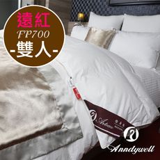 【雅帝格】買被送枕 專利遠紅外線90/10頂級冬季羽絨被 - 雙人