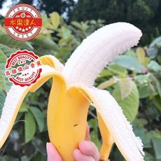 【水果達人】旗山頂級超Q香蕉禮盒5斤