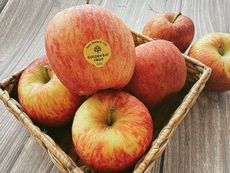 【水果達人】嚴選大顆 紐西蘭蜜蘋果10顆/盒(250g/顆)