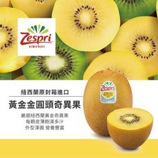 【水果達人】紐西蘭黃金奇異果18-22顆原封箱