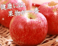【水果達人】智利蜜蘋果12顆禮盒(300g±10%/顆)