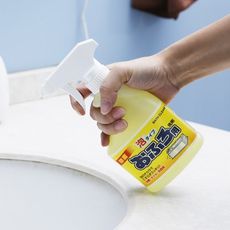 日本進口洗瓷磚清潔劑衛生間玻璃強力除垢去污神器浴室浴缸清洗劑 -
