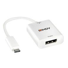 林帝43245 主動式 USB3.1 TYPEC TO DISPLAYPORT 轉接器