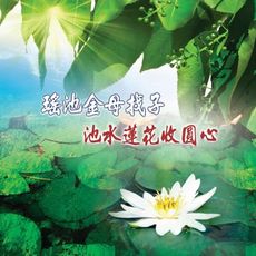 【新韻傳音】瑤池金母找子 池水蓮花收圓心 CD MSPCD-44043