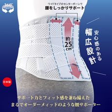 【日本Alphax】日本製 醫護腰椎固定帶(升級版) 一入 護腰帶 腰部保護 腰帶