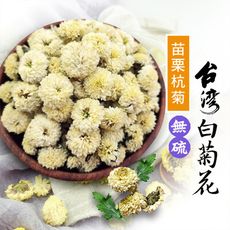 菊花 苗栗銅鑼杭白菊 60克 菊花茶 杭菊 台灣白菊 檢驗合格 無毒 無添加 新鮮 沐光茶旅