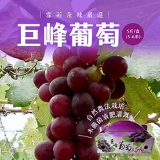 【雪莉朵辣嚴選】巨峰葡萄 5-6串/5斤±5%/盒