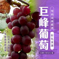【雪莉朵辣嚴選】巨峰葡萄 5-6串/5斤±5%/盒