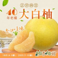 預購-40年老欉【柚香柚甜】正宗麻豆大白柚 二十斤箱（7-10顆）；10/15-10/21出貨