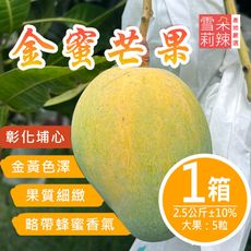預購 【雪莉朵辣嚴選】金蜜芒果 2.5公斤(大果5粒)/箱；7/2-7/8出貨