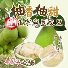 預購【柚香柚甜】正宗麻豆文旦 10斤箱（7-9顆）；8/22-8/28出貨