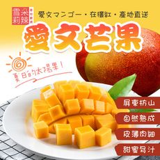 【雪莉朵辣嚴選】屏東枋山愛文芒果 -五斤大果
