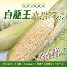 【雪莉朵辣嚴選】白龍王水果玉米 3.6kg/箱  (約11-14支)