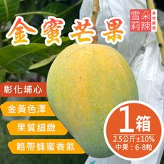 預購 【雪莉朵辣嚴選】金蜜芒果 2.5公斤(中果6-8粒)/箱；7/2-7/8出貨