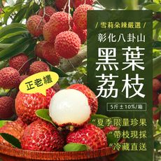 預購 【雪莉朵辣嚴選】黑葉荔枝 5斤±10%/箱；6/23-6/27出貨