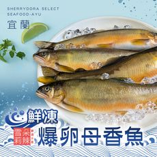 【雪莉朵辣嚴選】宜蘭鮮凍爆卵母香魚(500g/包)