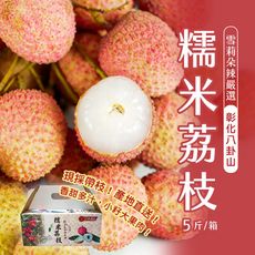 預購 【雪莉朵辣嚴選】糯米荔枝 5斤±10%/箱；6/23-6/27出貨