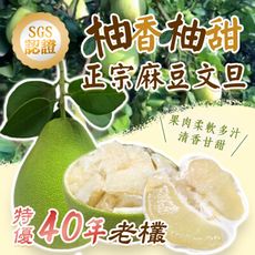 預購-特優【柚香柚甜】正宗麻豆文旦 5斤箱（6-8顆）；8/22-8/28出貨