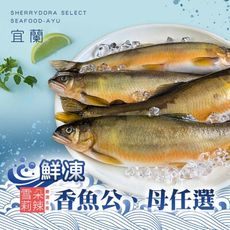 【雪莉朵辣嚴選】宜蘭鮮凍香魚公或母任選(500g/包)