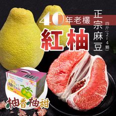 預購-40年老欉【柚香柚甜】正宗麻豆紅柚 四斤箱(2-4顆)；9/15-9/19出貨